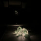 LED Lichterkette Schirmlichterkette Cali-Lights Batteriebetrieben