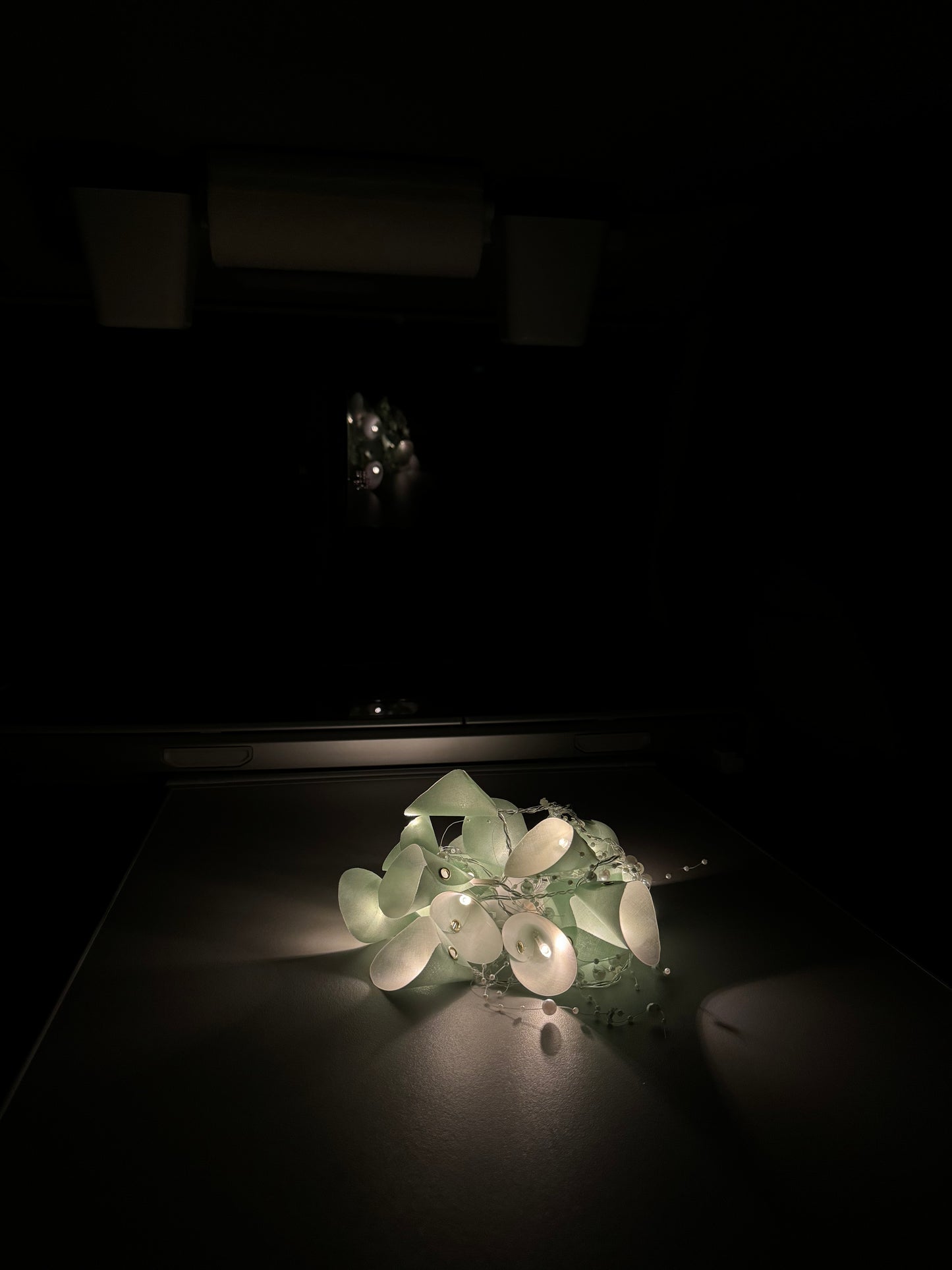 LED Lichterkette Schirmlichterkette Cali-Lights Batteriebetrieben